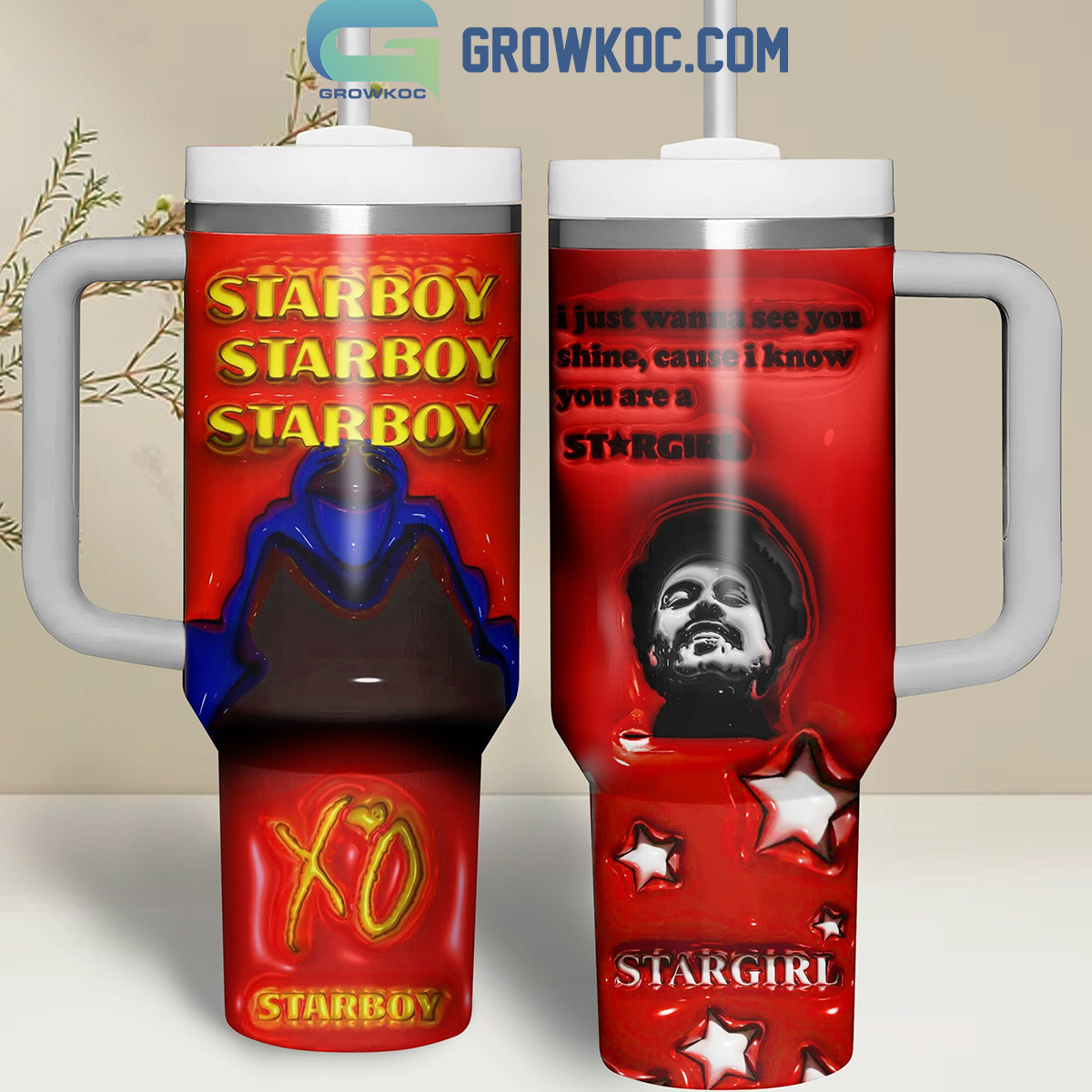Weeknd Abel Tesfaye Starboy Stargirl 30oz or 40oz Stainless Steel Tumbler With Handle HG