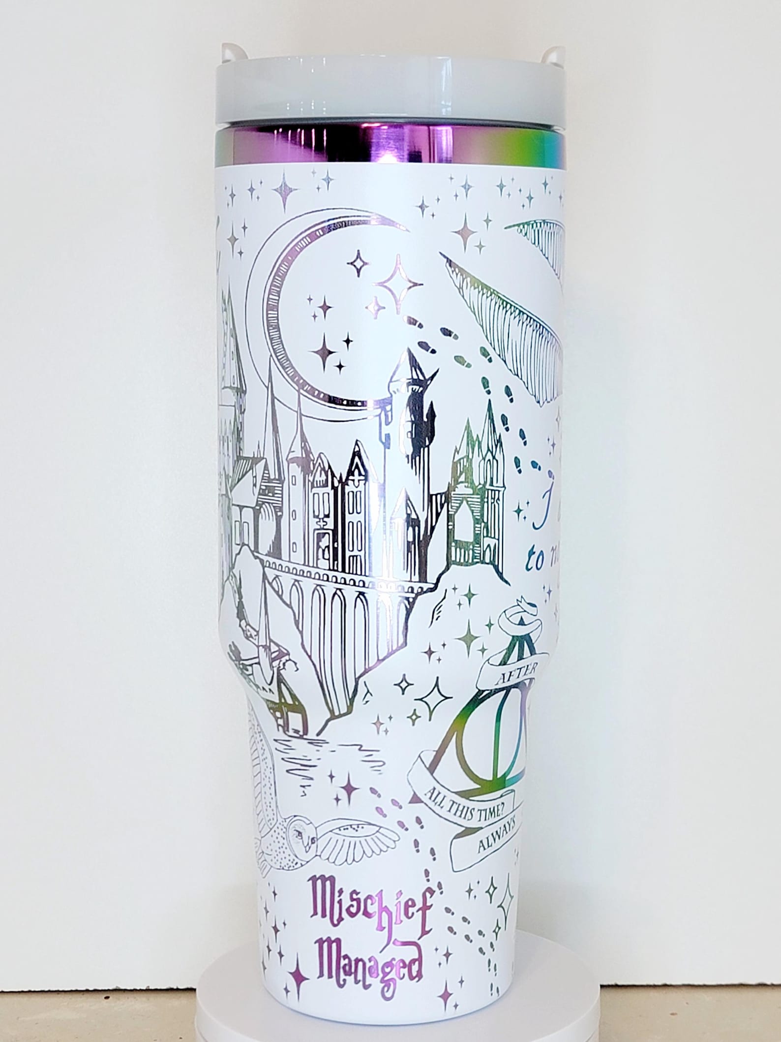 Hogwart Wizard Engraved 30oz 40oz Tumbler Hippogriff Castles Magic Owls Wands HG